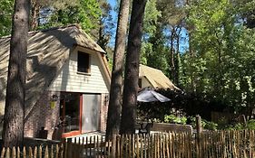 Zwaan7, Top Locatie! Top Deal!